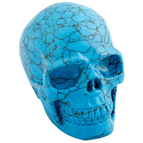 mookaitedecor 3 Inch Blue Howlite Turquoise Crystal Skull Sculpture Carved Statue Healing Reiki Gemstone Collectible Figurines mookaitedecor 3 Inch Blue Howlite Turquoise Crystal Skull Sculpture Carved Statue Healing Reiki Gemstone Collectible Figurines