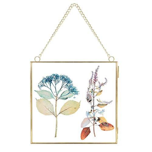 FunPa Brass Hanging Photo Frame,DIY Artwork Display Frame for Dried Plant Specimen Pressed Flowers, Dried Flowers, Double Glass, Glass Frame only (Golden)