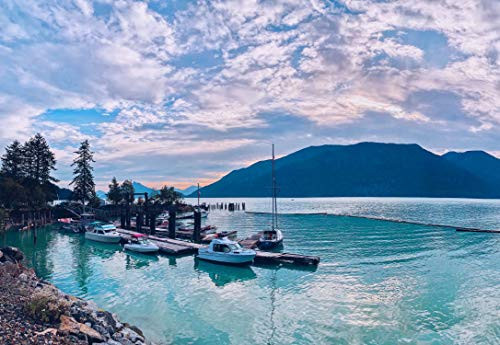 Enovoe Jigsaw Puzzles 1000 Pieces for Adults - an Evening in Vancouver - Large, 29" x 20", 1000 Piece Puzzle