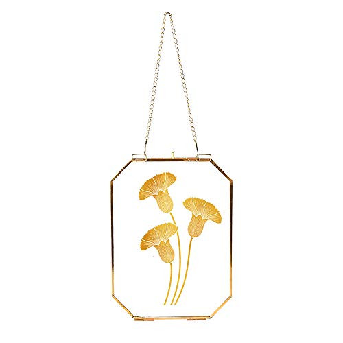 LONGWIN Wall Hanging Floating Picture Frames Vintage Gold Octagon Brass Double Sided Glass Plants Specimen Clip Press Flowers Dried Leaf Artwork Certificate Frame Free Metal Chain