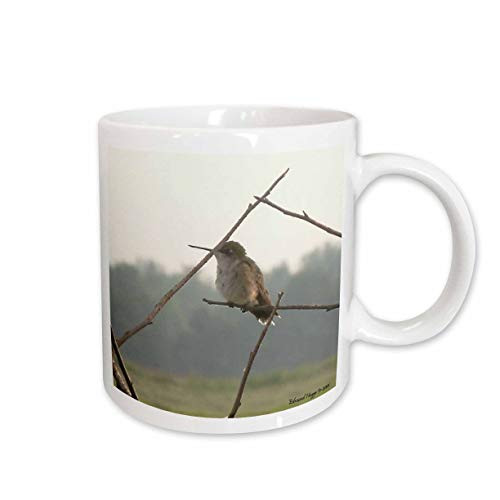 3dRose Female Hummingbird Ceramic Mug, 11-Ounce