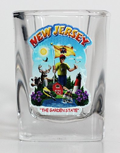 New Jersey State Montage Square Shot Glass