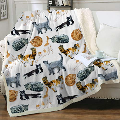 Sleepwish Cat Fleece Throw Blanket Hipster Cats Pattern Sherpa Plush Throw Blanket for Couch Bed Kids Girls Vintage Animal Blanket (60" x 80") Sleepwish Cat Fleece Throw Blanket Hipster Cats Pattern Sherpa Plush Throw Blanket for Couch Bed Kids Girls Vintage Animal Blanket (60" x 80")
