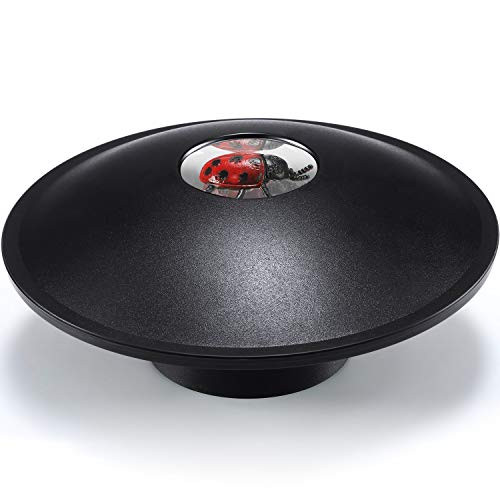Sumind 3D Mirascope Instant Illusion Maker Parabolic Optical Image Magic Toy Projection Visual Illusion Toy for Adults and Teens (Ladybug)