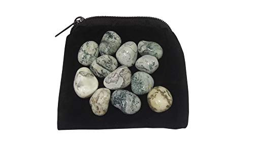 WholesaleGemShop - Genuine Tree Agate 100 gm.Tumbled Stones, Metaphysical Healing, Chakra Stone, Reiki, Gift