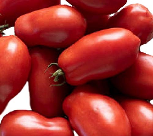 San Marzano Tomato Seeds - Italian Heirloom Garden Variety - by Hill Creek Seeds