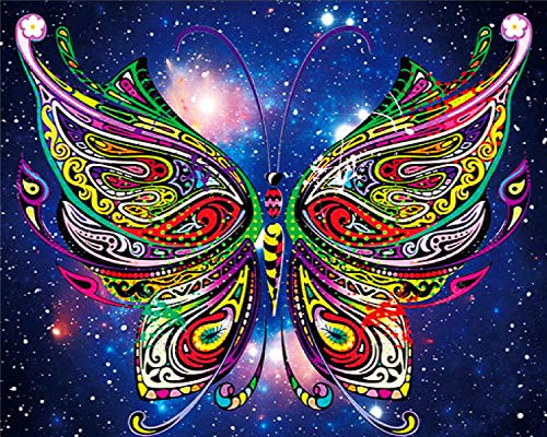EOBROMD DIY 5D Diamond Painting by Number Kits, Full Drill Crystal Rhinestone Embroidery Cross Stitch Kits Craft for Home Wall Decor - Colorful Butterfly 12x16inch