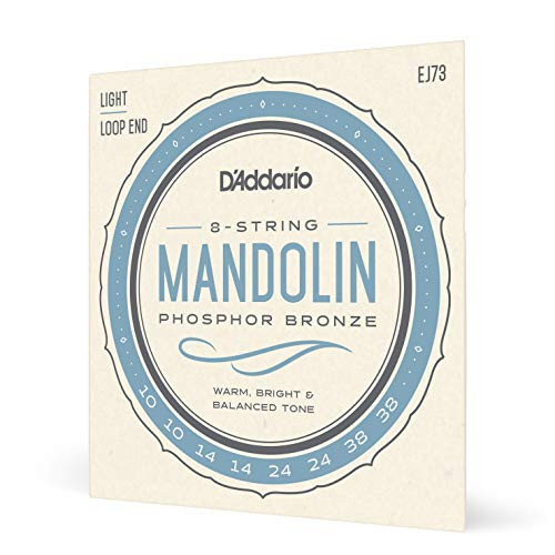 D'Addario EJ73 Phosphor Bronze Mandolin Strings, Light, 10-38
