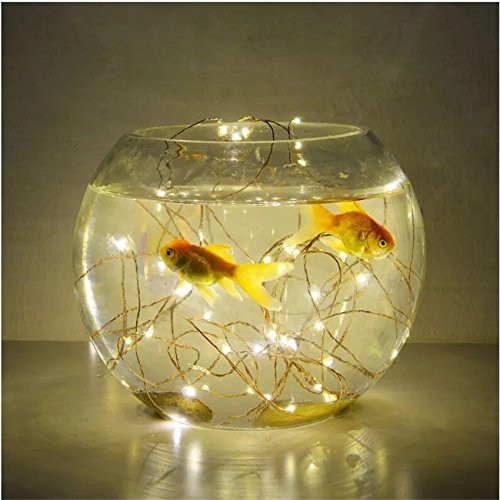Timewanderer Warm White Led String Starry Fairy Light AA Battery Operated Bright Micro Ultra Thin Decorative Lights on Copper Wire for Home Decoration DIY (2m/6.5ft 20 leds)
