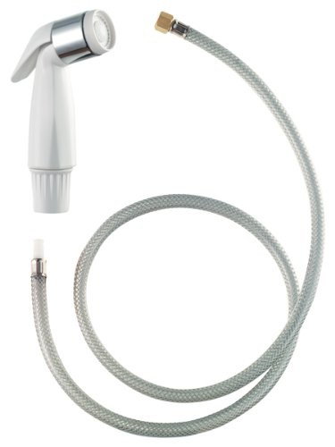 Plumb Craft 7635700 Sink Sprayer and Hose