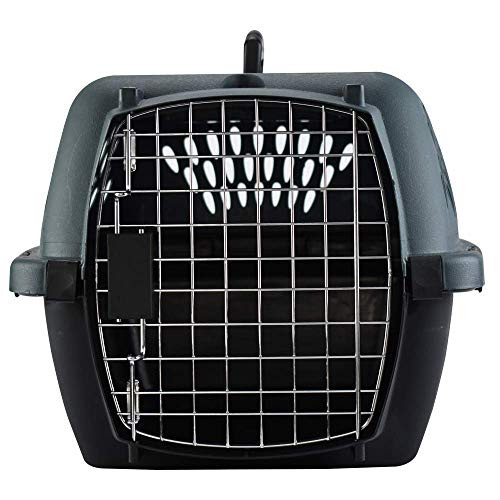 Petmate 21084 Aspen Pet Porter Heavy-Duty Pet Carrier With Secure Lock, Up to 15 lbs, Light Gray