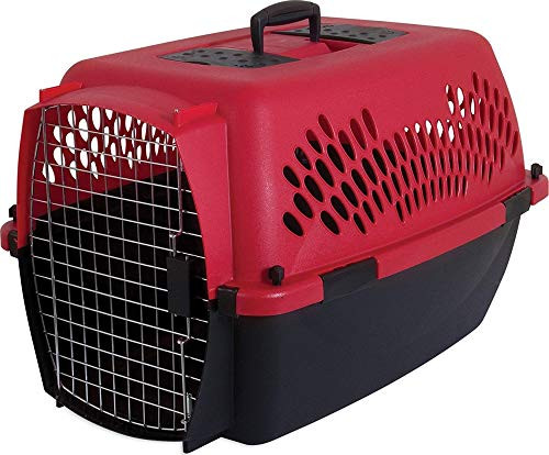 Petmate 21090 Aspen Pet Porter Heavy-Duty Pet Carrier With Secure Lock, 20-25 lbs, Deep Red/Black