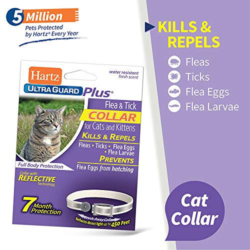 Hartz UltraGuard Plus Reflective Flea & Tick Collar for Cats and Kittens