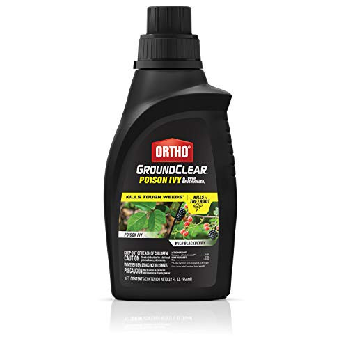 Ortho GroundClear Poison Ivy and Tough Brush Killer1 - Concentrate, Makes 8 Gallons, Kills Poison Ivy, Poison Oak, Kudzu & Wild BlackBerry, Kills to The Root, 32 fl. oz. Ortho GroundClear Poison Ivy and Tough Brush Killer1 - Concentrate, Makes 8 Gallons, Kills Poison Ivy, Poison Oak, Kudzu & Wild BlackBerry, Kills to The Root, 32 fl. oz.