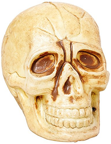 Fun World Bag of Skulls - Dozen