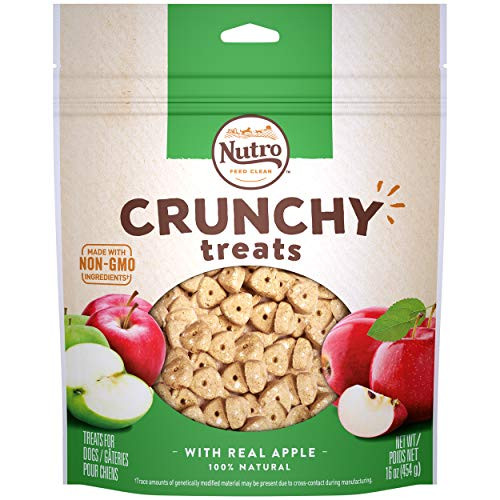 NUTRO Small Crunchy Natural Dog Treats with Real Apple, 16 oz. Bag