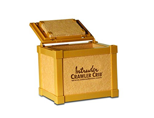 INTRUDER Nightcrawler Worm Bait Box, Keeps Bait Fresh, Packed with Good N' Lively Worm Bedding, 8-inch x 6-inch x 7-inch