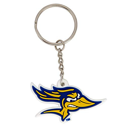 Desert Cactus California Cal State University Bakersfield CSUB Roadrunners NCAA Keychain Car Keys (PVC)