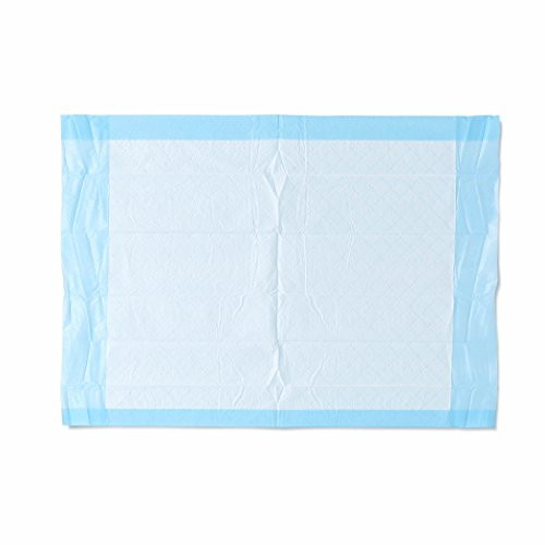 Medline Industries, Inc. MSC281224C Ultra Lightweight Tissue and Plastic 17 x 24 Disposable Underpad, Great For Changing Table and Surfaces, 300 Per Case, Blue