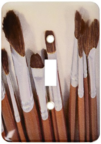 3dRose lsp_15779_1"Art Brushes 2 Oil Painting Single Toggle Switch