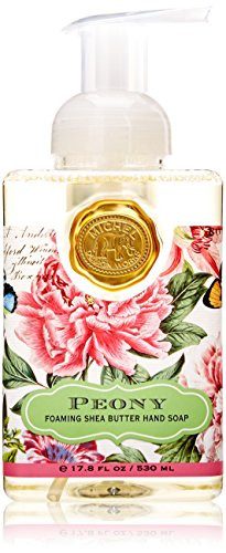 Michel Design Works Foaming Hand Soap, 17.8 Fluid Ounce, Peony