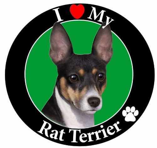 E & S Pets Car Magnet, Rat Terrier