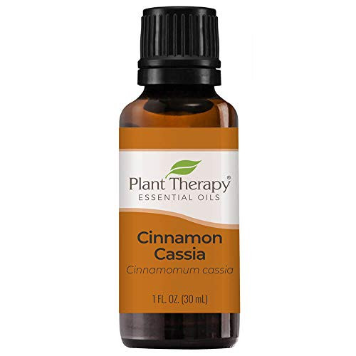 Plant Therapy Cinnamon Cassia Essential Oil 30 mL (1 oz) 100% Pure, Undiluted, Therapeutic Grade