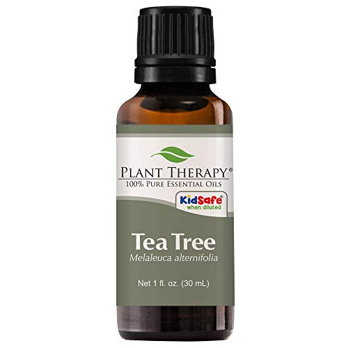 Plant Therapy Tea Tree Essential Oil 100% Pure, Undiluted, Natural Aromatherapy, Therapeutic Grade 30 mL (1 oz) Plant Therapy Tea Tree Essential Oil 100% Pure, Undiluted, Natural Aromatherapy, Therapeutic Grade 30 mL (1 oz)