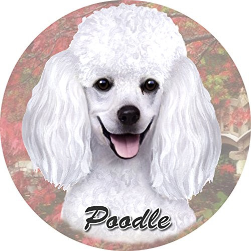 E&S Pets White Poodle Coaster, 3" x 3"