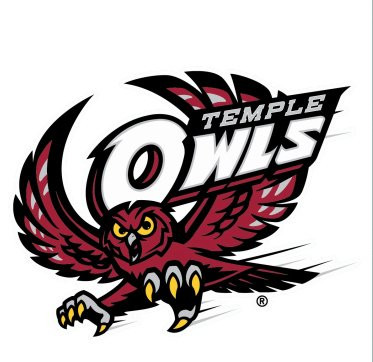 WinCraft Temple Owls NCAA 4x4 Perfect Die Cut Decal