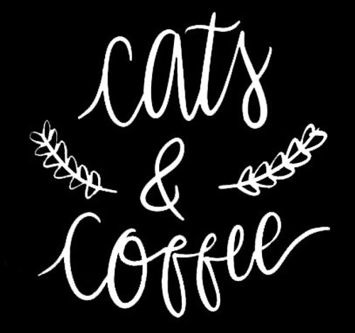 LLI Cats & Coffee | Decal Vinyl Sticker | Cars Trucks Vans Walls Laptop | White |5.5 x 5.4 in | LLI795 LLI Cats & Coffee | Decal Vinyl Sticker | Cars Trucks Vans Walls Laptop | White |5.5 x 5.4 in | LLI795