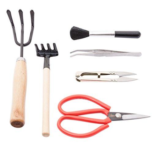 Tradition Life 6 Piece Steel & Wood Bonsai Tree Tool Kit