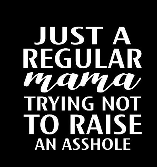 Just A Regular Mama Trying Not to Raise an A-Hole Funny MKR Decal Vinyl Sticker |Cars Trucks Vans Walls Laptop|White|5.5 x 5.3 in|MKR1069 Just A Regular Mama Trying Not to Raise an A-Hole Funny MKR Decal Vinyl Sticker |Cars Trucks Vans Walls Laptop|White|5.5 x 5.3 in|MKR1069