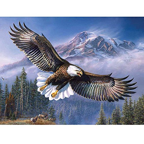 Diamond Painting by Number Kit,DIY Diamond Paints, 5D Full Drill Embroidery Cross Stitch Painting, Diamond Art Craft for Home Wall Decor