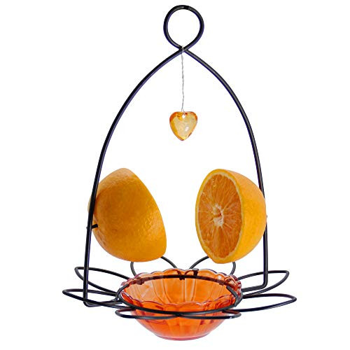 FORUP Oriole Bird Feeder, Orange Fruit Oriole Feeder