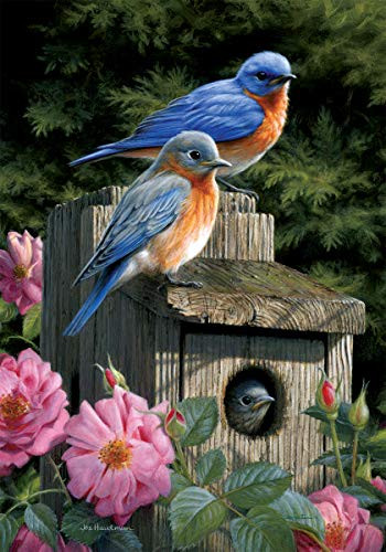 Custom Decor Bluebird House - Garden Size, Decorative Double Sided, Licensed and Copyrighted Flag - Printed in The USA Inc. - 12 Inch X 18 Inch Approx. Size