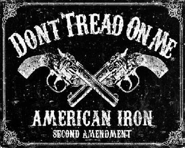 Keen Don't Tread On Me 2nd Amendment Vinyl Decal Sticker|Cars Trucks Vans Walls Laptops|5 X 4 in|KCD745