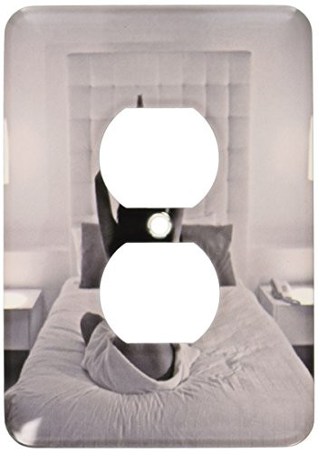 3dRose LLC lsp_10082_6 Le Chameleon a New Luxury Five Star Boutique Hotel 2 Plug Outlet Cover