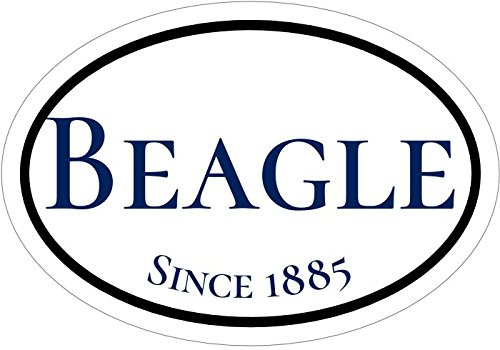 Oval Die Cut Since 1885 Beagle Vinyl Sticker - Beagle Bumper Sticker - Perfect Dog Owner Gift