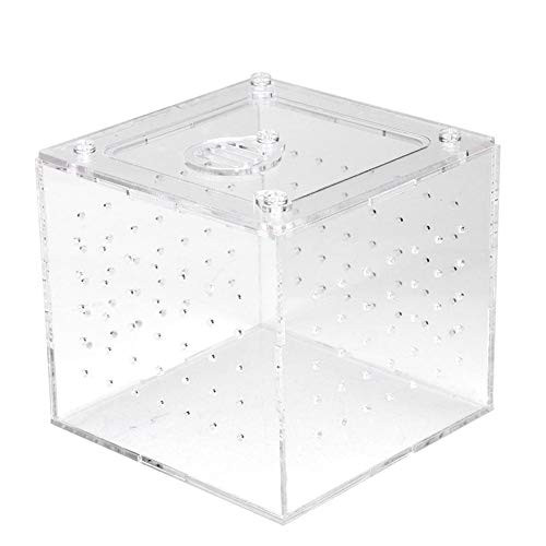 Acrylic Reptile Breeding Box Transparent Live Food Storage Insect Viewing Box for Spider Crickets Snails Hermit Crabs Tarantulas Geckos 3.9x3.9x3.5inch