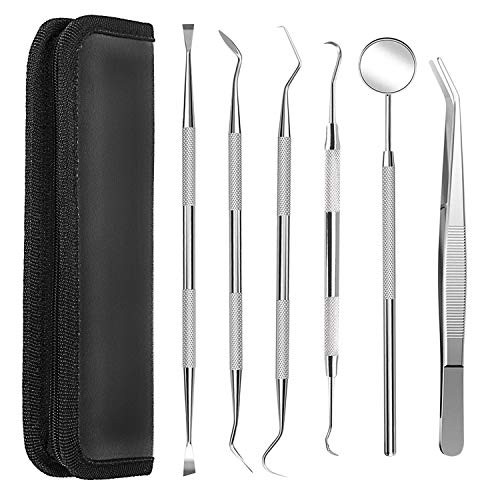 Professional Dental Tools Kit,6 PCS Teeth Cleaning Tools Set,Oral Care Kit with Tooth Pick, Dental Mirror, Tartar Scraper, Dental Probe, Dental Scaler, Dental Tweezer for Personal & Pet Oral Care Use