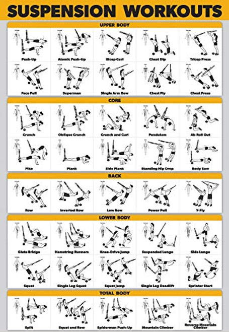 QuickFit Suspension Workout Exercise Poster - (Laminated, 18" x 27")