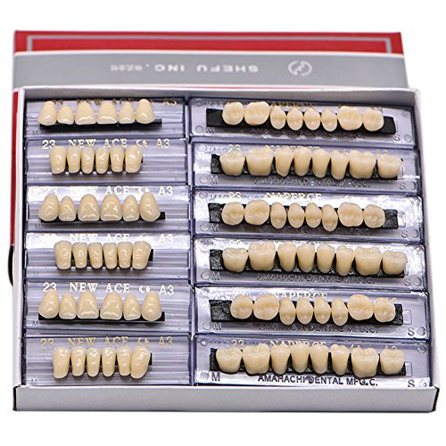Angzhili Dental Synthetic Acrylic Resin False Teeth for Halloween Horror Teeth Denture Teeth Sets Shade A3 Upper And Lower Acrylic Teeth Sets(168pcs)