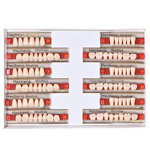 Angzhili 84 Pcs Dental Complete Acrylic Resin Denture False Teeth 3 Sets Synthetic Polymer Resin Denture Teeth 23 Shade A2 Upper + Lower Dental Materials