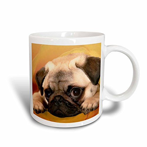 3dRose mug_3644_5 "Pug Two Tone Red" Mug, 11 oz, Red/White