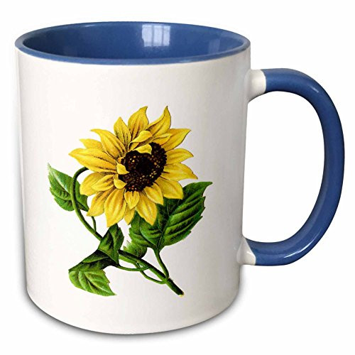 3dRose mug_60502_6 "Giant Vintage Sunflower" Two Tone Blue Mug, 11 oz, Multicolor