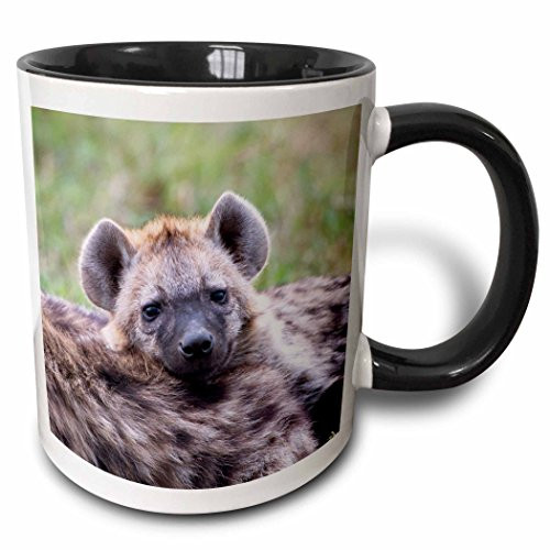 3dRose (mug_131767_4) Spotted Hyena wildlife, Maasai Mara, Kenya - AF21 AJE0761 - Adam Jones - Two Tone Black Mug, 11oz