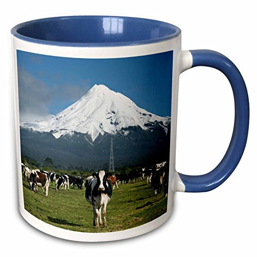 3dRose mug_71760_6"Dairy Cows, Farm animals, Taranaki, New Zealand-AU02 DWA4997 - David Wall" Two Tone Blue Mug, 11 oz, Multicolor 3dRose mug_71760_6"Dairy Cows, Farm animals, Taranaki, New Zealand-AU02 DWA4997 - David Wall" Two Tone Blue Mug, 11 oz, Multicolor