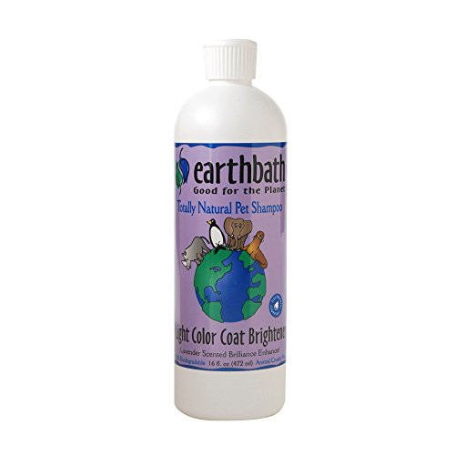 Earthbath All Natural Pet Shampoo (2 Pack)