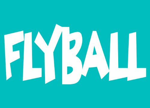 Imagine This Car Window Decal, Flyball
